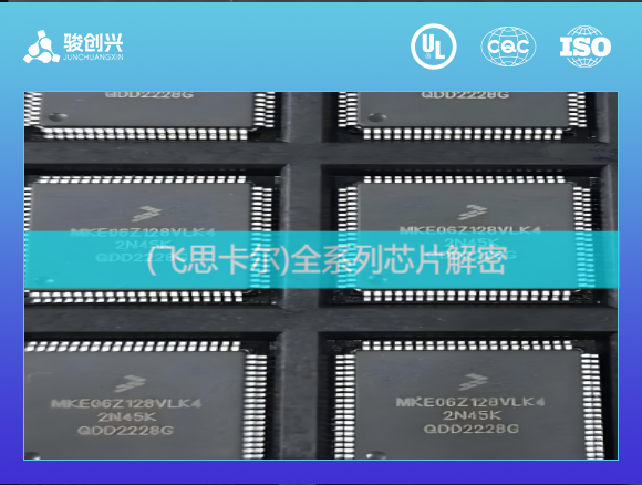 ARM解密专家提供NXP的LPC全系列ARM芯片解密